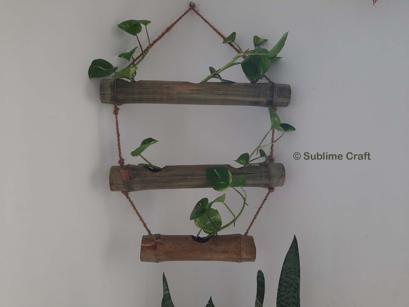 Bamboo Hanging Planter